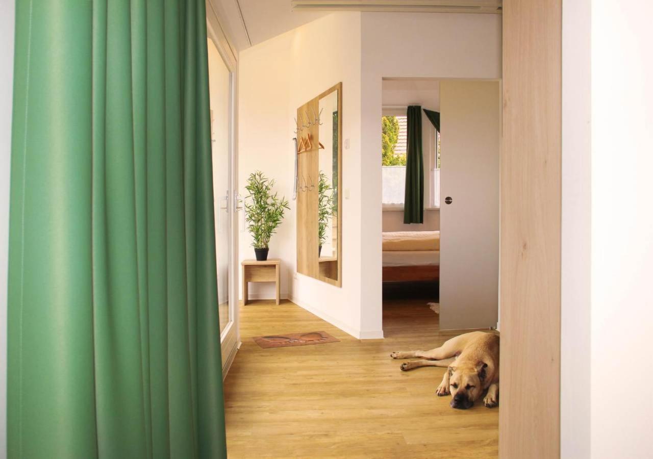Ferienwohnungen Weichaer Hof Weißenberg 외부 사진